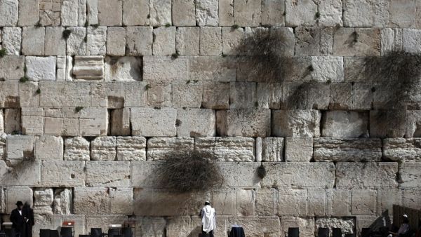 Jewish men pray at the Western Wall, the most holy site where Jews can pray, in Jerusalem's Old City, on February 5, 2016. (AFP/Thomas Coex)
