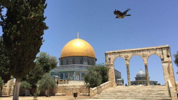 وأكد المجلس الوطني الفلسطيني أن ذلك القرار وغيره من القرارات الاحتلالية تعتبر اعتداء مرفوض على حق مليار وسبعمائة مليون مسلم.

