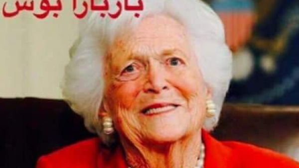 باربرة بوش