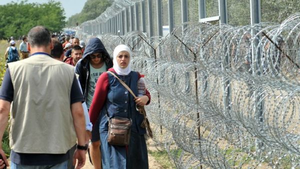  Migrants and refugees walk near razor-wire along a 3-metre-high fence at the official border crossing between Serbia and Hungary (AFP/File Photo)	