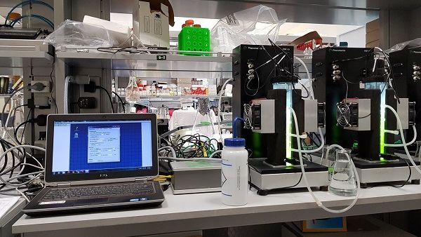 Algae cultivators in our lab Algae cultivators in our lab
