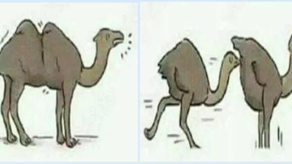 هيك..