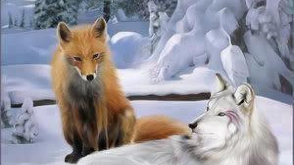 الثعلب والذئب
