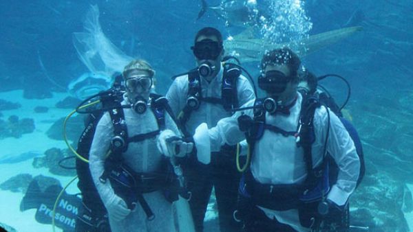 Divers marries underwater in Australia. (Youtube)