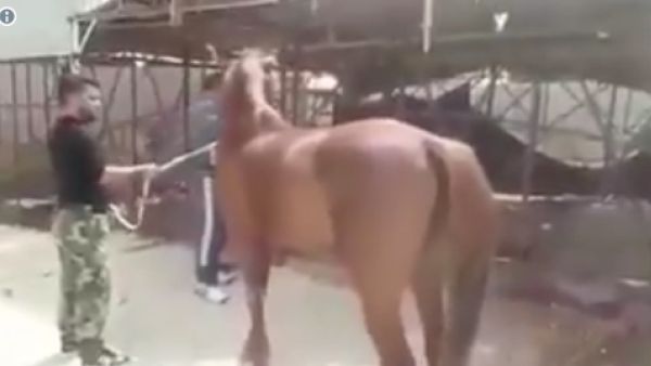 مشهد من الفيديو