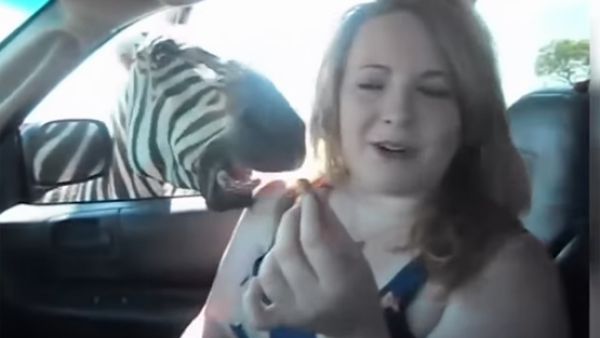 ما لا تتوقعه