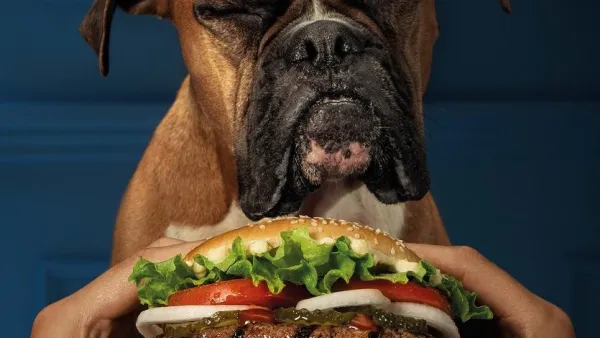 Burger King has created the 'Dogpper' (Twitter)