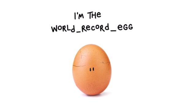World Record Egg (Twitter)