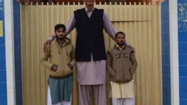 Zia Rashid (Twitter)