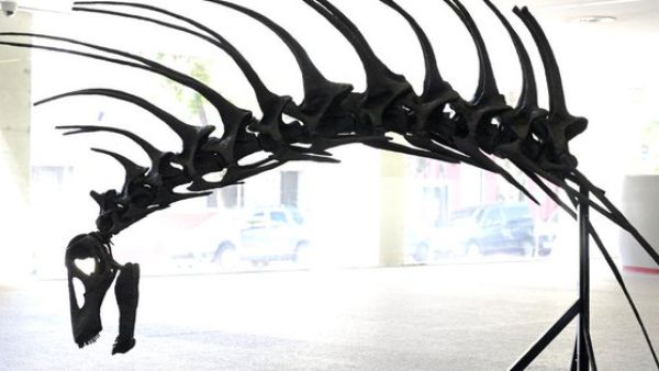 Bajadasaurus pronuspinax (Twitter)