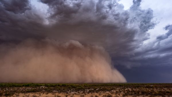 Sand Storms (Shutterstock)