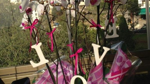 Cyrine Abdel Nour's Valentine's gift.