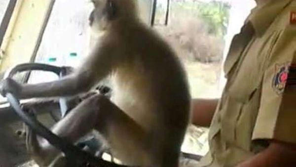 (Twitter/ Screenshot)