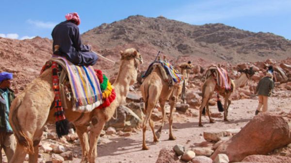 جبال سيناء الوعرة حيث فر الجهاديون.  