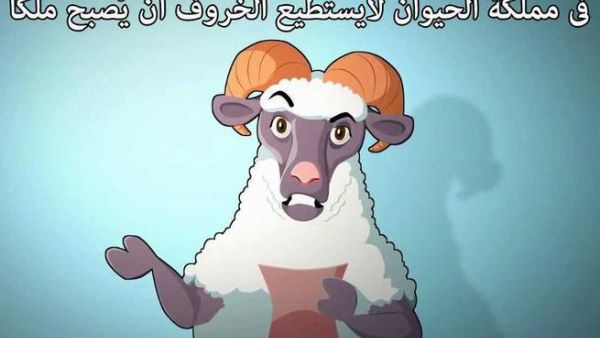 تسببت عبارة في مملكة الحيوان لا يستطيع الخروف أن يكون ملكًا في إحالة المدرس للتحقيق في مصر. 
