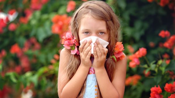 للوقاية من حساسية الأنف يجب إزالة الغبار من المنزل بانتظام

