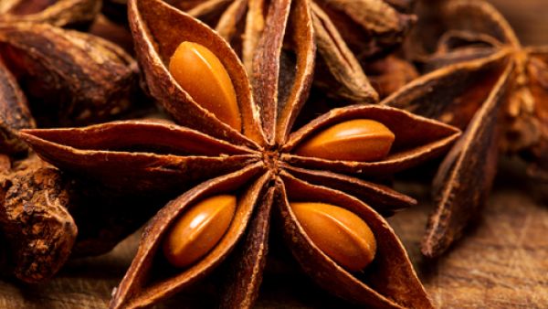 يساعد اليانسون على طرد السموم والفضلات من جسم الانسان
