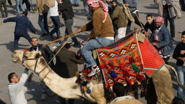 صورة من ميدان التحرير يوم أمس. صورة من ميدان التحرير يوم أمس.