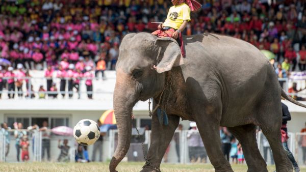 (Shutterstock/ File Photo)