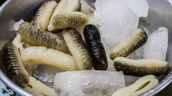 (Shutterstock/ File Photo)