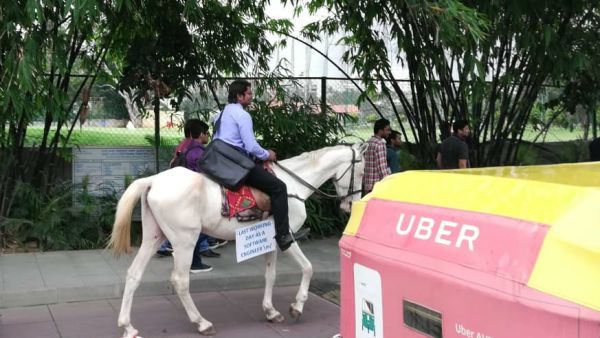 Indian software engineer Roopesh Kumar Verma rode a horse to work on his last day. (Twitter)