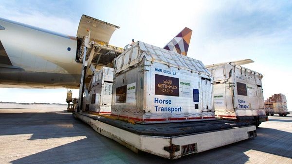 A team of professional grooms and veterinarians will handle the horses during loading and throughout the duration of the flight to ensure they remain comfortable and calm.