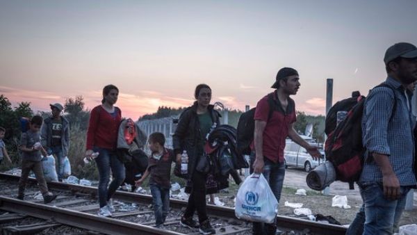 Asylum Seekers (Twitter)