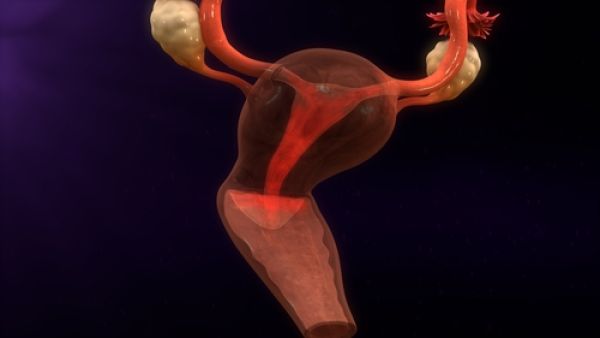 عندما يكون هُناك جرح في المثانة يجب تحويل المريضة إلى المشفى

