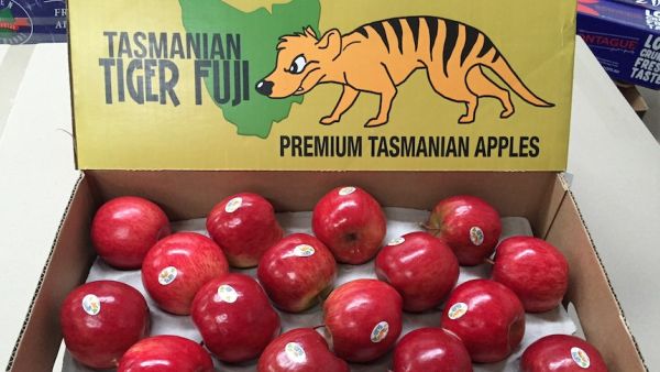 Officials in both Saudi Arabia and Australia have been holding extensive deliberations on drafting an efficient and cooperative partnership between the two countries especially with respect to the agricultural sector. (Fruitnet.com)