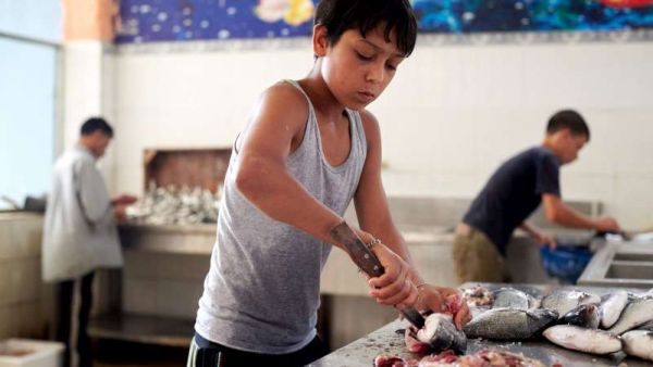 The Labour Ministry said the rise in child employment was linked to the influx of Syrian refugees into the Kingdom.  (UNHCR)