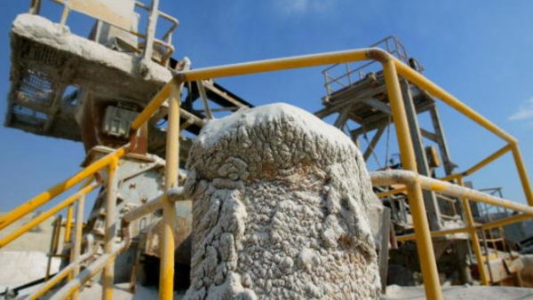 More than 90 per cent of APC's products are exported to more than 30 countries, spanning Africa, Asia, Europe, and the Middle East. (File photo)