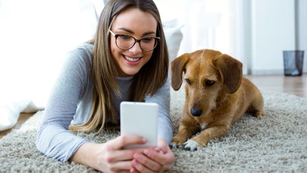 PlayDate has a built-in camera and a microphone to speak commands to your dog and you can even make this high-tech ball squeak, all from the comfort of your smartphone. (Shutterstock)
