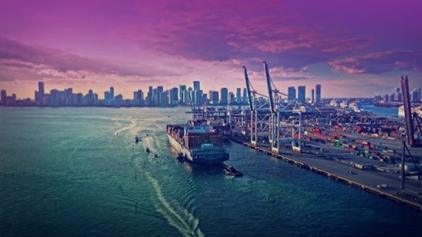 The total number of multinational companies that signed agreements in Al Mazunah Free Zone exceeds 75. (Al Mazunah) The total number of multinational companies that signed agreements in Al Mazunah Free Zone exceeds 75. (Al Mazunah)