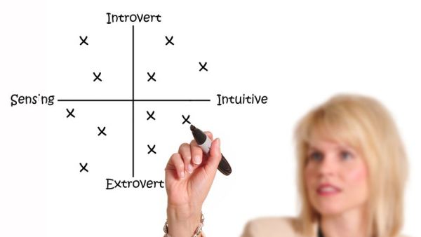 Myers-Briggs is a popular personality test used by employers. (Pinterest)