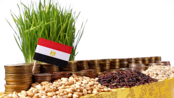 Urban consumer inflation hit an eight-year high of 19.4 percent in November, when Egypt abandoned its currency peg of 8.8 to the dollar.  (Shutterstock) 
