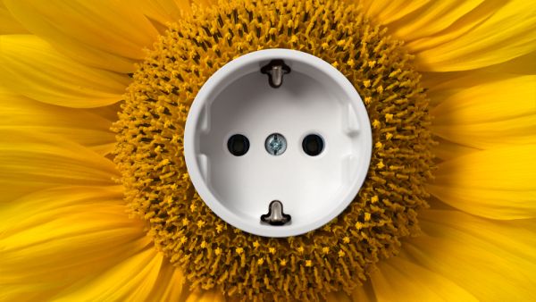 The switch to more renewable forms of energy will also result in the reduction of up to one gigaton of carbon emissions by 2030, and the creation of countless jobs across the region. (Shutterstock)