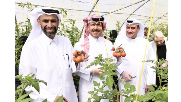 الدكتور جاويد شيخ عميد وايل كورنيل للطب – قطر والسيدة نسرين الرفاعي الرئيس التنفيذي للاتصال في وايل كورنيل للطب – قطر يستقبلان كبار الشخصيات من الهيئات الشريكة لحملة "صحتك أولاً" الدكتور جاويد شيخ عميد وايل كورنيل للطب – قطر والسيدة نسرين الرفاعي الرئيس التنفيذي للاتصال في وايل كورنيل للطب – قطر يستقبلان كبار الشخصيات من الهيئات الشريكة لحملة "صحتك أولاً"