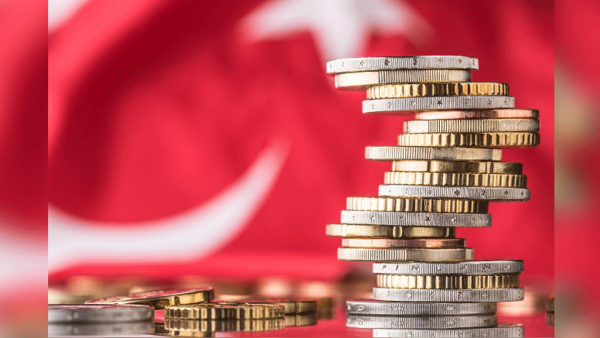 The Turkish currency lost nearly 30 percent against the dollar last year in a sell-off sparked by concerns over the independence of the central bank and exacerbated by worsening ties with Washington. (Shutterstock)