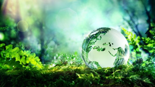 التمويل الأخضر يقدم فوائد زيادة رأس المال بتكلفة أقل