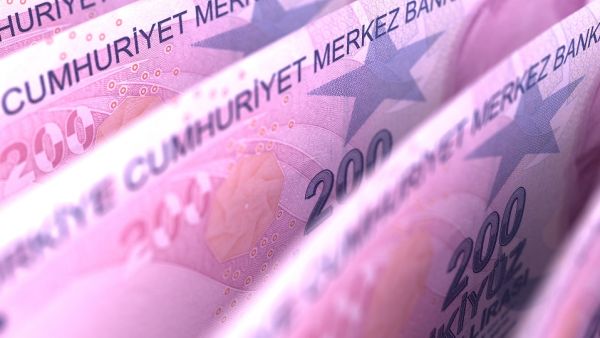بلغ إجمالي القروض المقدمة من البنوك التركية نحو 2.4 تريليون ليرة (457 مليار دولار) بنهاية العام الماضي.