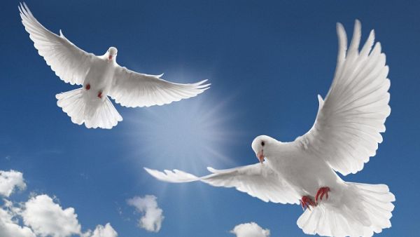 يوم اللاعنف العالمي