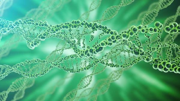 Since being founded in 2012, the END Fund has raised more than $70m and supported the treatment of 100 million people at risk of neglected tropical diseases. (Shutterstock)