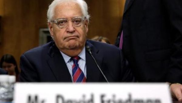 ديفيد فريدمان