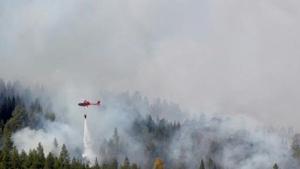 حرائق غابات قرب هامرستراند بالسويد
