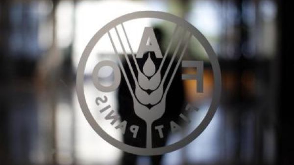 شعار برنامج الغذاء العالمي في روما
