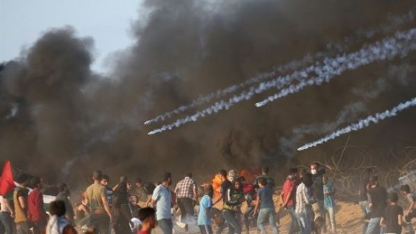 سبعة شهداء في غزة