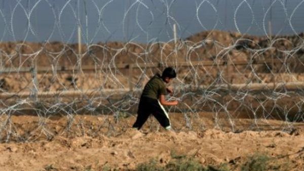 فتى فلسطيني يحاول قطع السياج الشائك عند الخط الفاصل بين قطاع غزة واسرائيل
