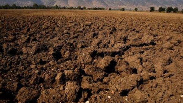 حقل قاحل في سهل الحولة
