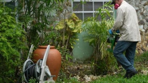 عامل صحة يقوم برش حديقة احد المنازل للتخلص من البعوض المسبب للفيروس زيكا، في ميامي بولاية فلوريدا
