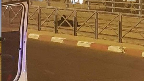 لحظة إطلاق جندي اسرائيلي النار على امرأة في القدس‎